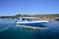 Woody 14.7m RIB