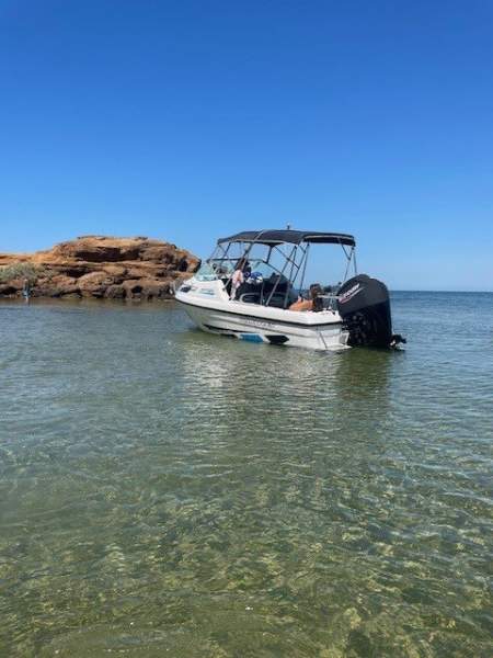  Whittley FF1650 Boat Brokers of Tasmania