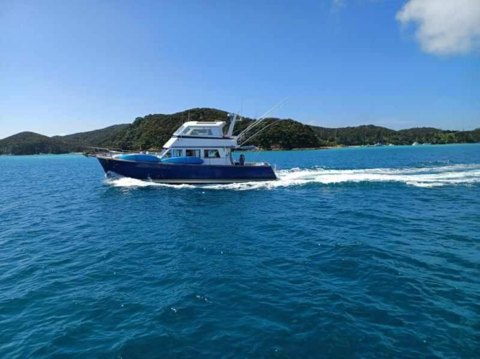 Pelin Crusader 13.5