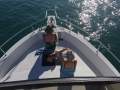 Mainship 350