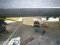 Warwick 13.5 Sports Fisher