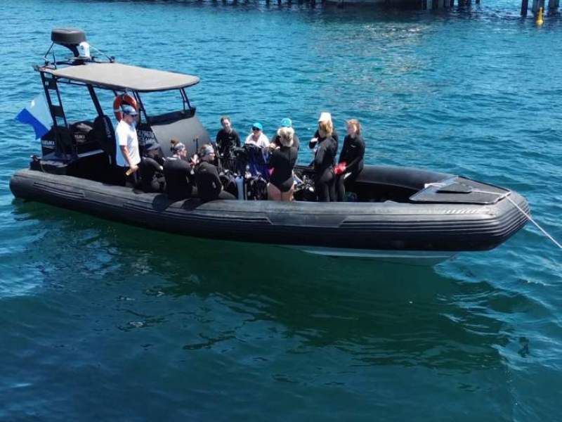 Woody 10m Naiad Rib