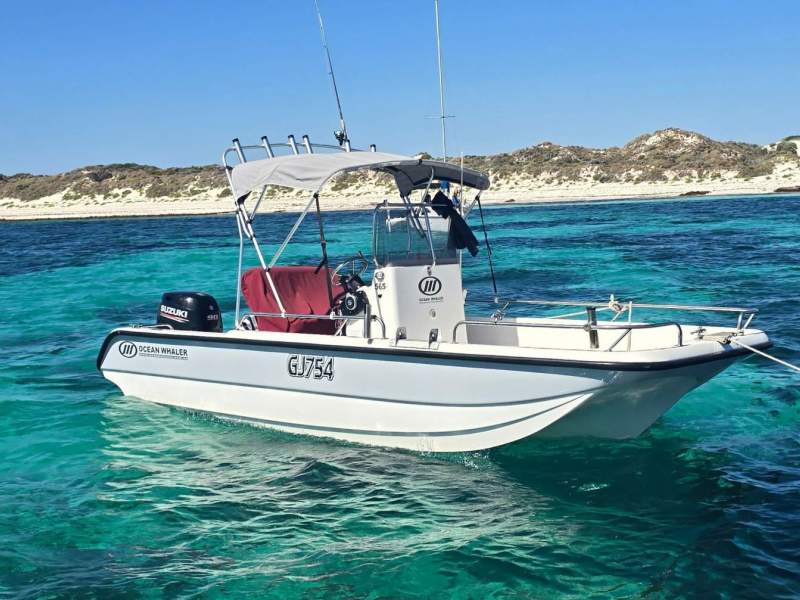 Ocean Whaler 565