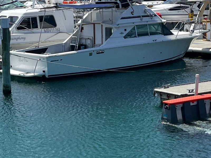 Bertram 28 Flybridge Shaft 240hp Yanmar Diesels - low hours