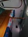 Arber 33