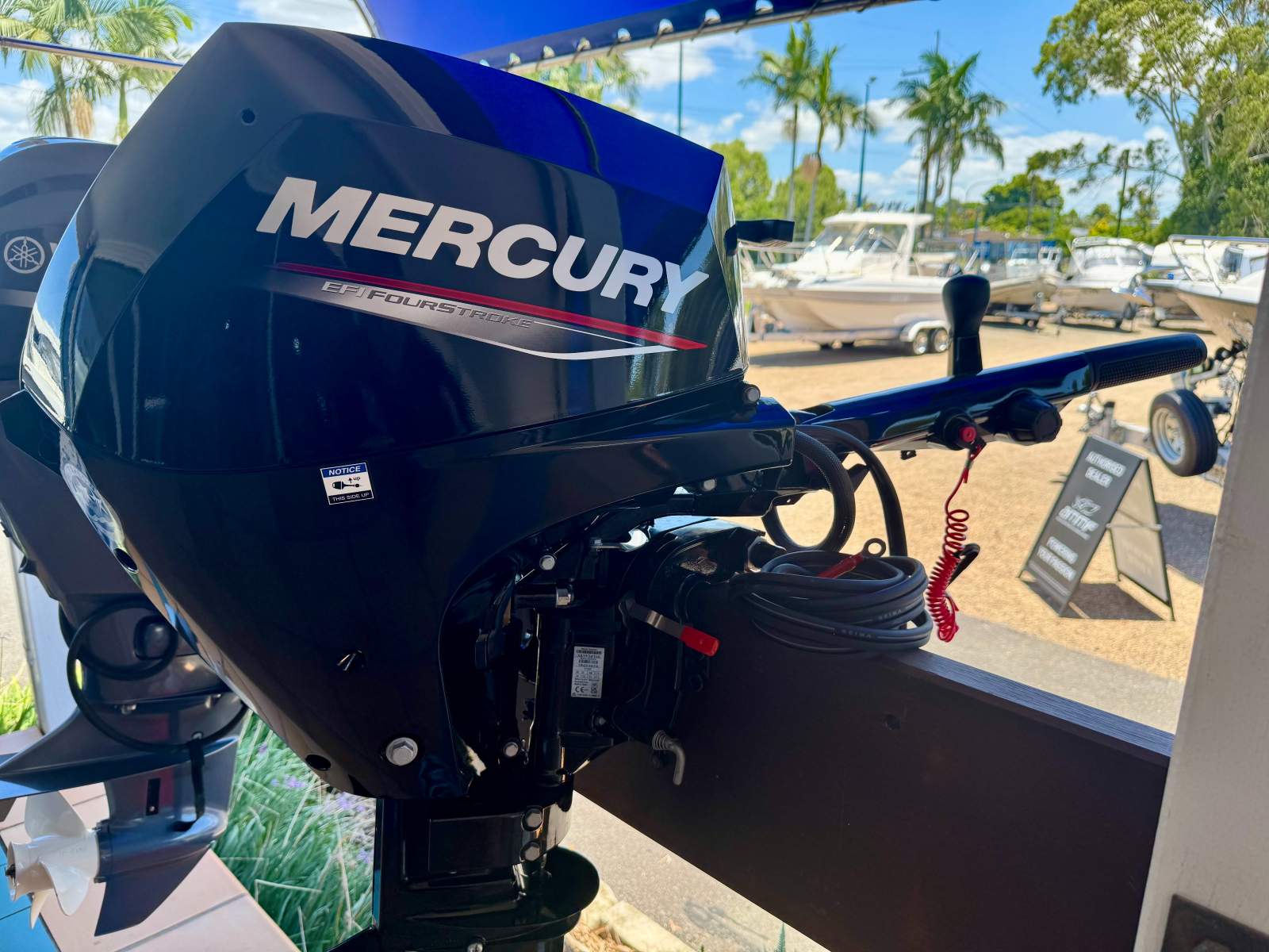 Mercury 15Hp F15EH - Elec start (2024)