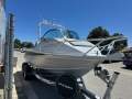 New McLay 551 Sportsman NEW JUST ARRIVED