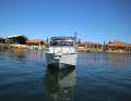 Oceanic 550 Cuddy *** INCLUDES TRAILER ***