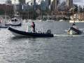 Fareast 480 RIB - Offshore Capable - In Stock