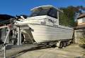 Fishing Charters