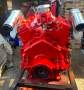 Rinker 300 Fiesta Vee