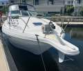 Rinker 300 Fiesta Vee