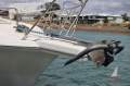 Riviera 3850 Open Flybridge