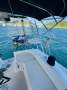 Catalina 310