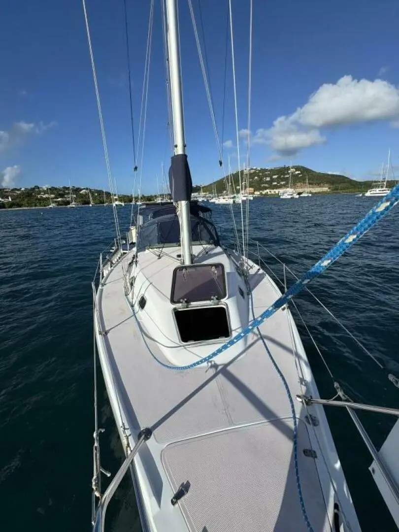 Catalina 310