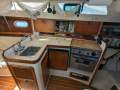 Catalina 310