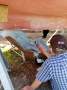 Redwing trailer sailer 6m