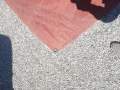 7m Genoa - Blood Red Dacron