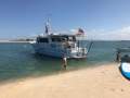 Roberts Waverunner 42