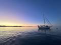 Horizon 39