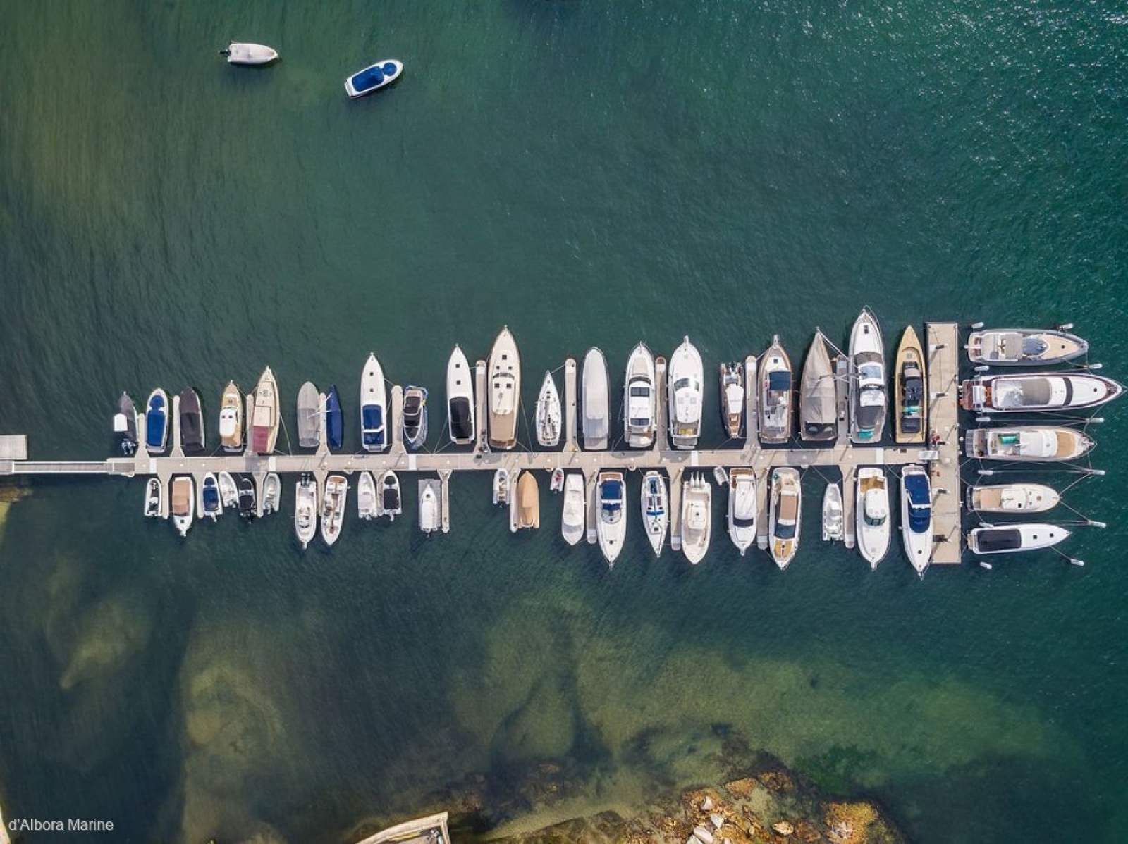 Double Bay Marina berth leasehold FOR SALE (or lease) - Berth N5