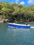 Marshall Lord Narrabeen 20 Diesel Auto Helm (Sydney Harbour)