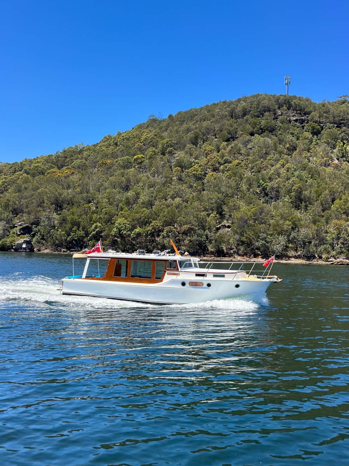 AG Williams Cruiser
