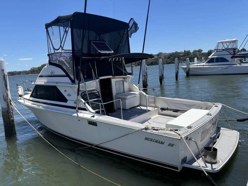 Bertram 28 Flybridge