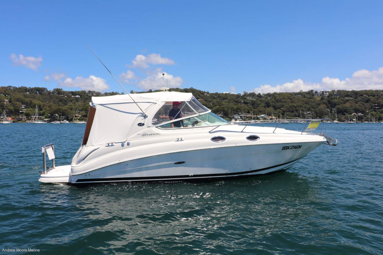 Sea Ray 315 Sundancer