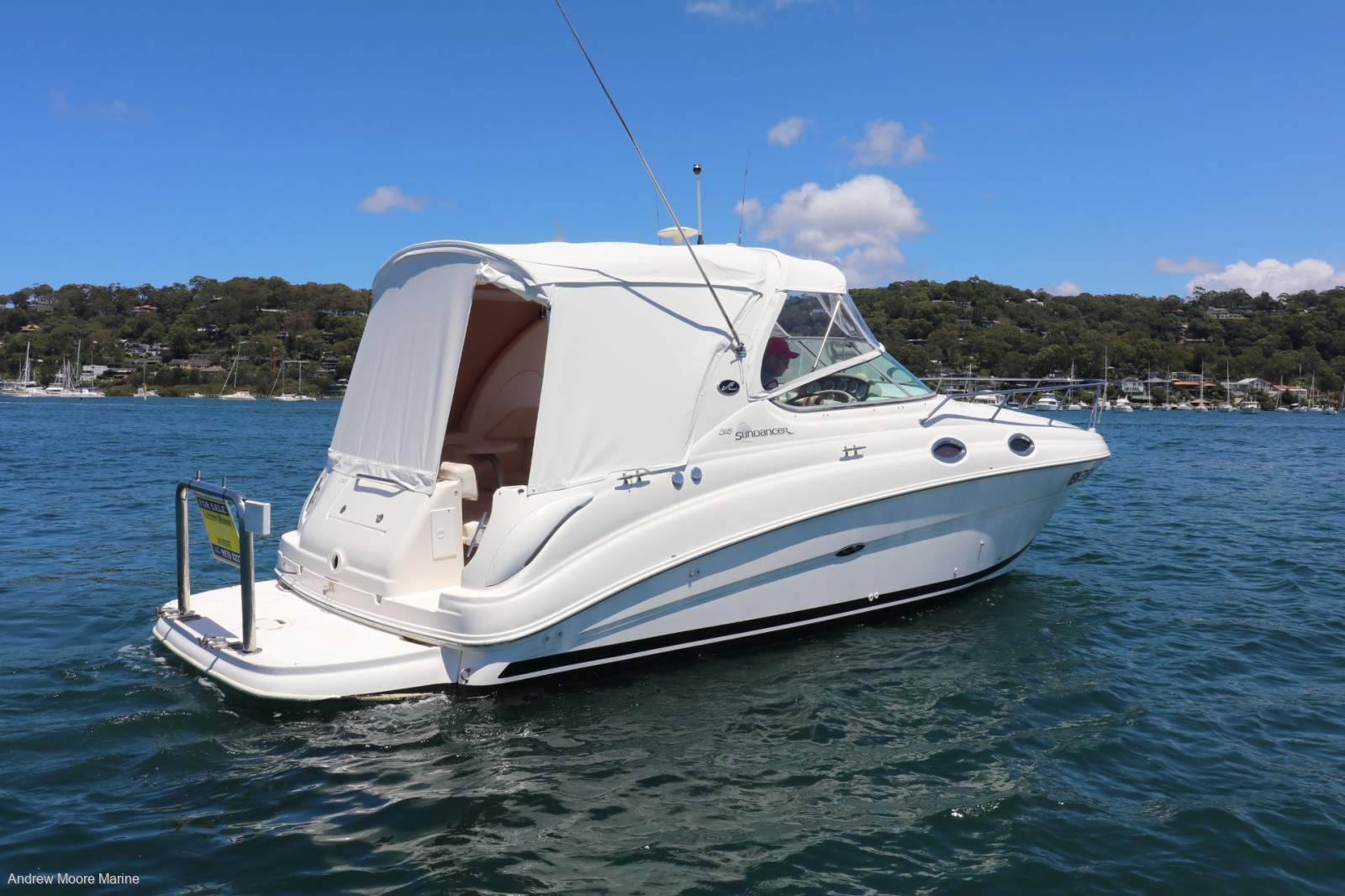 Sea Ray 315 Sundancer