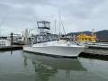 Sportfishing charter vessel/vessels and business for sale port Douglas