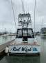 Sportfishing charter vessel/vessels and business for sale port Douglas
