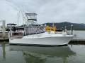 Sportfishing charter vessel/vessels and business for sale port Douglas