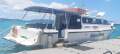 Tour Business and Ferry Service