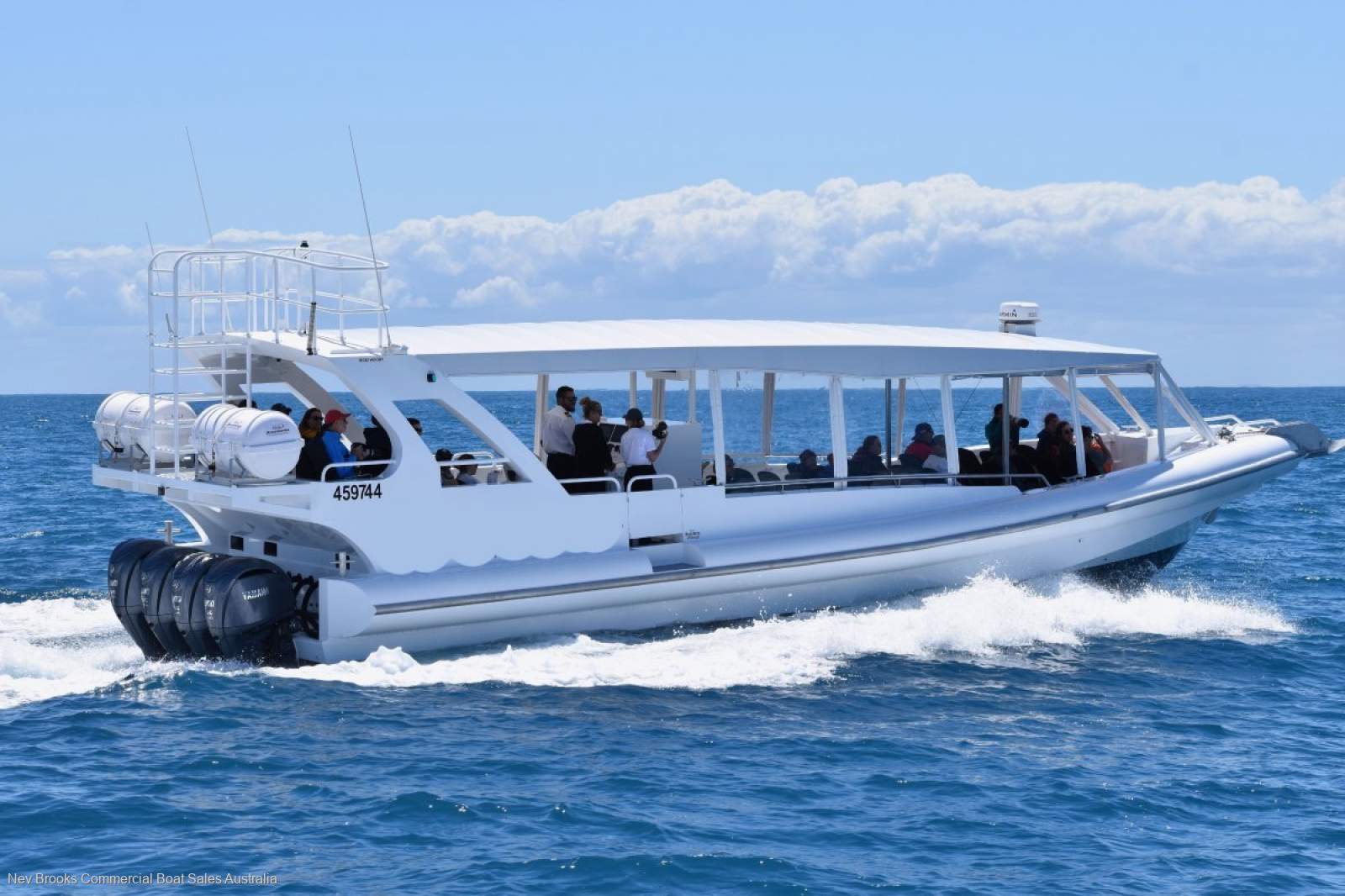 Whale Watching Business