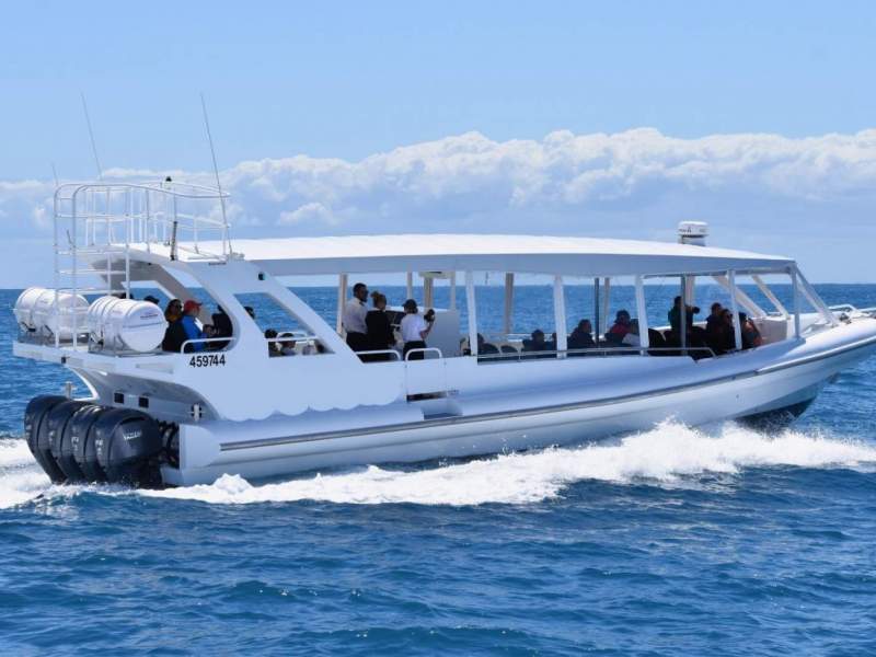 Whale Watching Business