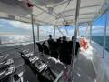 Whale Watching Business