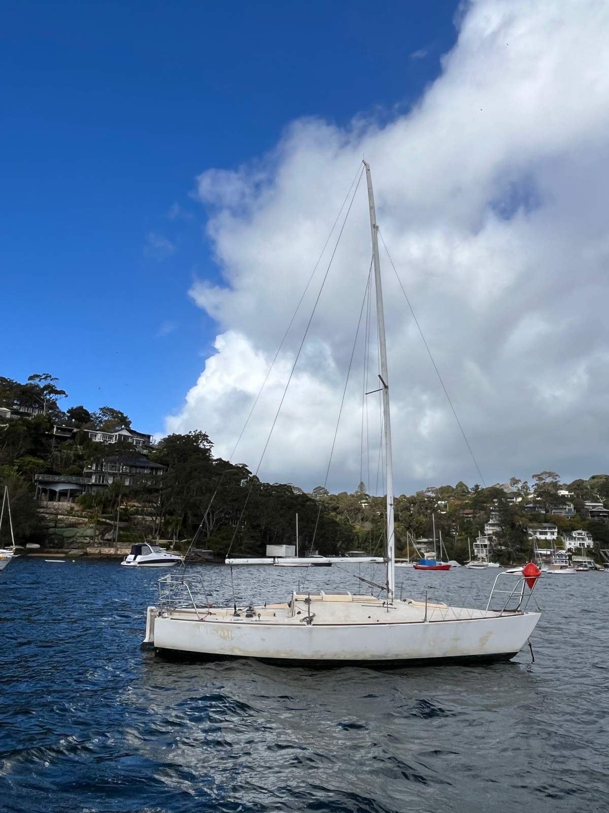 J Boats J/24 J24 Racing Yacht