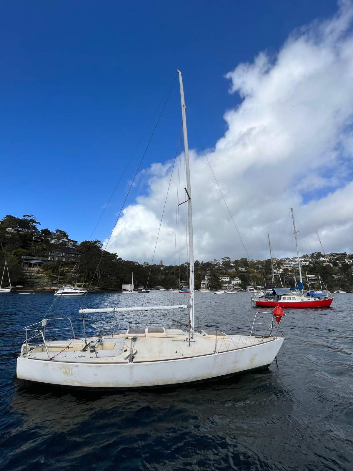 J Boats J/24 J24 Racing Yacht