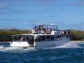 Brady 15.0m Power Catamaran
