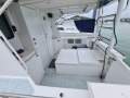 Sea Storm 9.00 Custom 2004