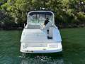 Mustang 2800 SportsCruiser Series III