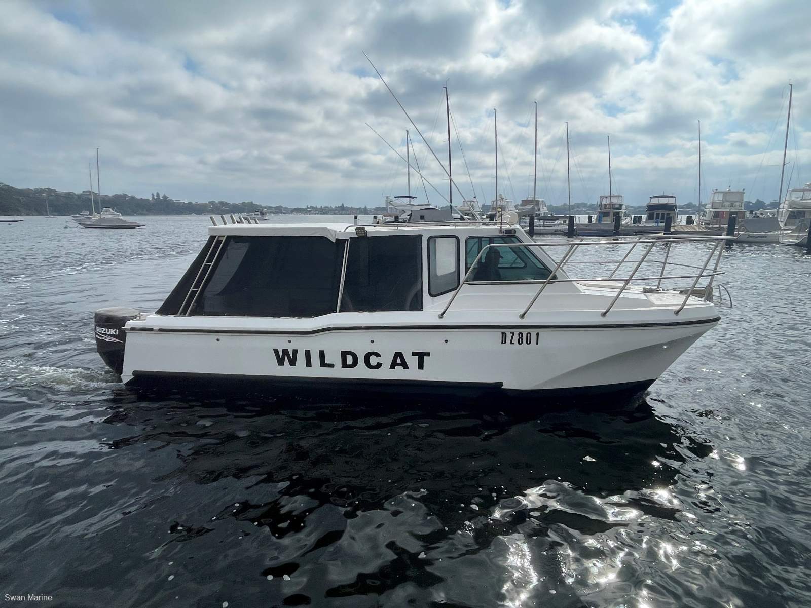 Cougar Cat 26