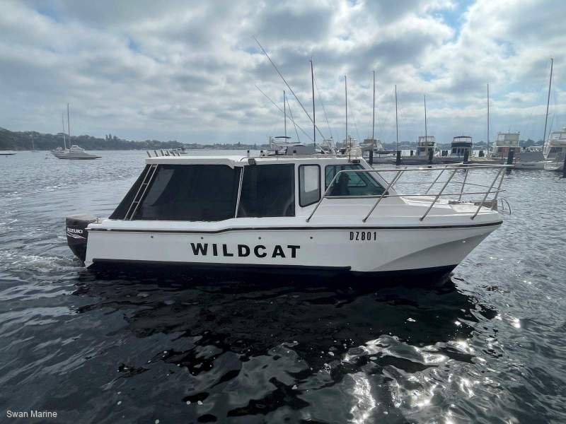 Cougar Cat 26