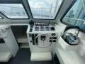 Cougar Cat 26