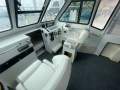Cougar Cat 26