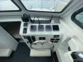 Cougar Cat 26