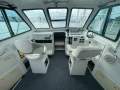 Cougar Cat 26