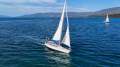 Adams Carina 44 GREAT CONDITION PRESTIGIOUS PERFORMANCE CRUISER!