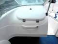 Haines Signature 550BR